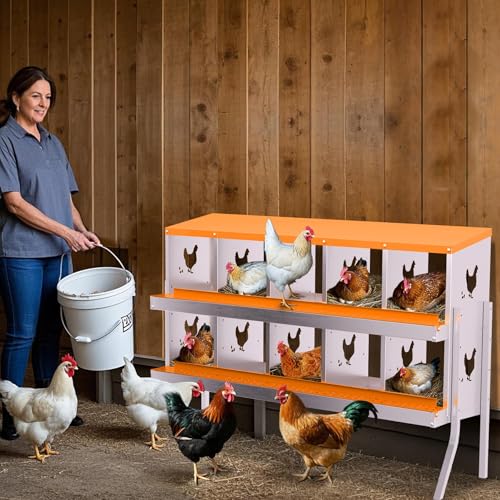 10 Compartment Chicken Nesting Box, Galvanized Steel Metal Laying Box with Removable Tray Roll-Out Egg Collection, Wall Mount Hen Roosting Box, Easy Egg Collection - color: Orange, size: 10 holes with legs