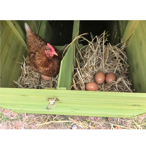 70" Automatic Chicken Coop with Solar-Powered Door & Remote – Smart Outdoor Hen House with Timer & Light Sensor, Solid Wood Poultry Cage with 2 Nesting Boxes, Ventilated Design & Pull-Out Tray