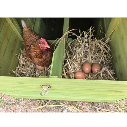 70" Automatic Chicken Coop with Solar-Powered Door & Remote – Smart Outdoor Hen House with Timer & Light Sensor, Solid Wood Poultry Cage with 2 Nesting Boxes, Ventilated Design & Pull-Out Tray
