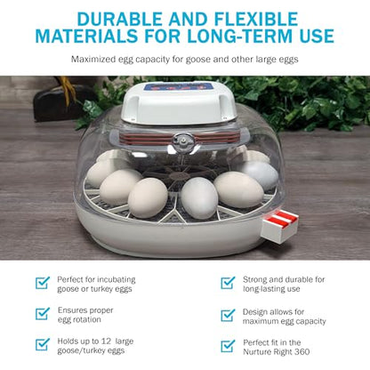 Durable Egg Tray for Nurture Right 360 Incubator 11 Large Goose Turkey Eggs