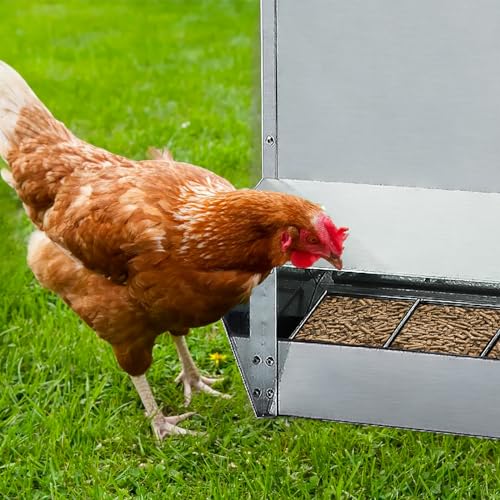 30lbs Capacity Galvanized Chicken Feeder,Outdoor Poultry Feeder with Weatherproof Lid,Hanging Chicken Feeder, Coop Food Dispenser