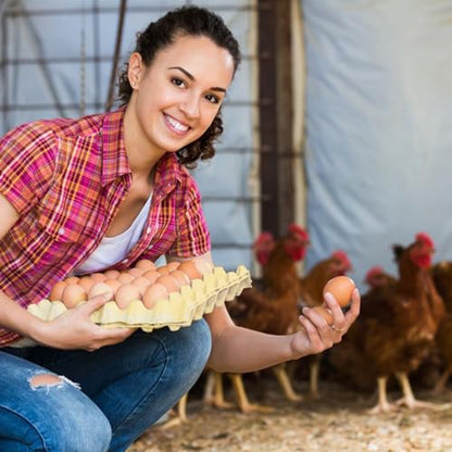 18 Flats 30-Cell Egg Crate, Holds 30 Eggs, Sturdy and Stackable, Perfect Egg Crates for Fresh Eggs, Chicken Farm - size: 18 Pack Light gray
