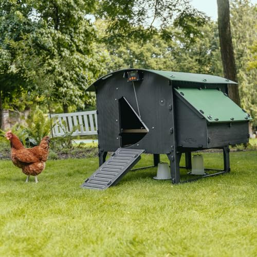 Plastic Chicken Coop 25yr Lifespan - Medium Lodge Chicken Coop for 5 Chickens Or 9 Bantams | Suitable for Large Hens & Ideal for Broody Chickens & Chicks | Low Hen House for Poultry with Nesting Box - color: MEDIUM LODGE