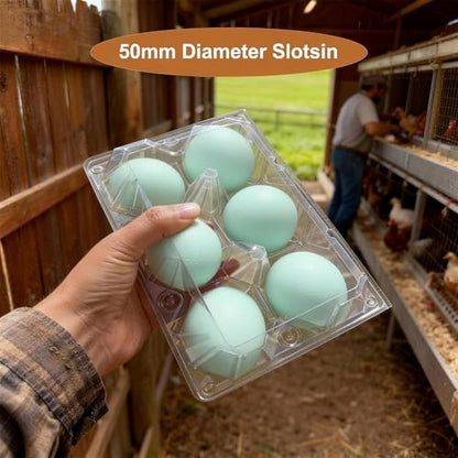 Clear Plastic Duck Turkey Jumbo Egg Storage Container, 6-Cell Cartons for Large Eggs, Reusable Refrigerator Tray (20)