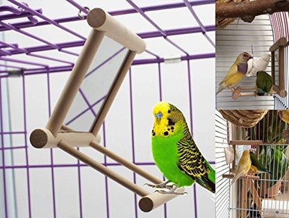 Hypeety Bird Parrot Mirror Toy Swing Hanging with Perch for Parrot Parakeet Budgies Cockatiel Conure Finch Lovebird (D) - color: Wooden Mirror with Perch
