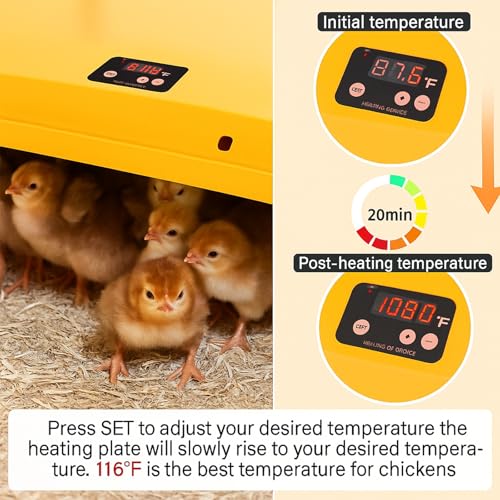 Adjustable 16x16 Brooder Heating Plate for Baby Chicks | Constant Efficient Warmth, Safe Energy-Saving, Easy to Assemble and Clean, Perfect for Chicken Brooding