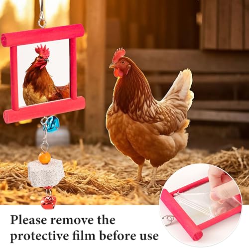 9 PCS Chicken Coop Toys, Chicken Swing Toys for Chickens Xylophone Mirror with Bell Hanging Vegetable Fruits Skewers Feeders Chick Coop Toy for Hen Birds Parrots