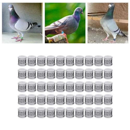 50 Pieces Pigeon Leg Rings Bird Rings Clips Aluminum Band Chicks Identification Band Reusable Suitable for Bird breeding Training Farm