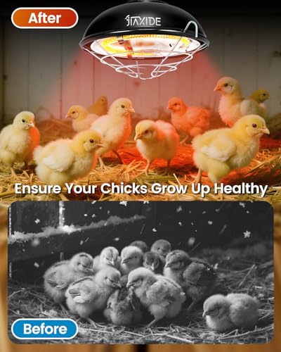 350W Dual-Mode Heat Lamp for Chickens - Long-Lasting Brooder Heater Bulb,Chick Heater with 7.87ft Cord for Chicks, Poultry & Ducklings - size: 350W-8.4"×8.4"×4.5"
