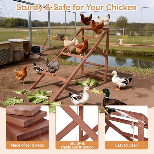 PETSFIT Wooden Chicken Roosting Bars for 8-10 Chickens – Multi-Level Design with 4 Roosting Bars &Swings, Durable Fir Wood for Outdoor Coops, Easy Assembly, Ideal for Backyard Farms - size: 51"L x 26.6"W x 38"H
