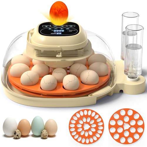 18-33 Egg Incubator for Hatching Eggs, Automatic Egg Turning, Egg Candler, Temperature/Humidity Control, Incubator for Hatching Chicken, Quail, Duck Eggs, 360° Clear View for Home, Classroom, Farm - color: Orange+Beige