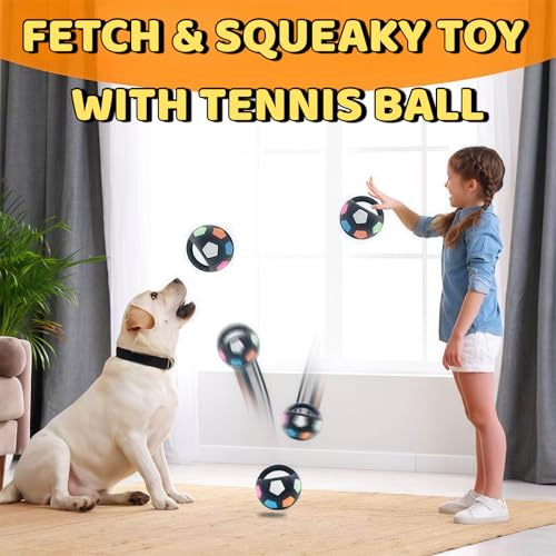Tough Durable Ball Toy for Aggressive Chewers Ball in Bottle Strong Rubber Football Dog Chew Fetch Toy for Medium Large Breeds - color: Clear