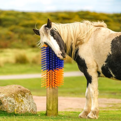 Cididu Livestock Scratch Brush, Cow Brush Scratcher with 4 Screws | Horse Brushes for Grooming, Livestock Scratching Post Horse Grooming Supplies Back Scratching for Cattle Goat Sheep Elk Pig