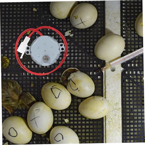 DECHOUS Automatic Egg Turner Motor for 110V Incubator Small Motor Accessory for Hatching Chicken Duck and Quail Eggs Efficient Rotator for Poultry Incubation