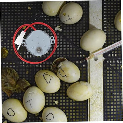 DECHOUS Automatic Egg Turner Motor for 110V Incubator Small Motor Accessory for Hatching Chicken Duck and Quail Eggs Efficient Rotator for Poultry Incubation