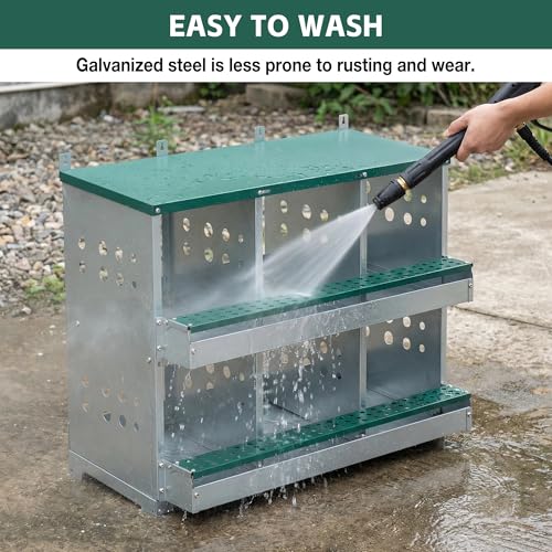 6 Compartments Chicken Egg Nesting Box, Roller Design, Green Metal, 33x16.3x25.6 inches, Wall Mounted, Easy Clean Rust Free Chicken House Egg Box