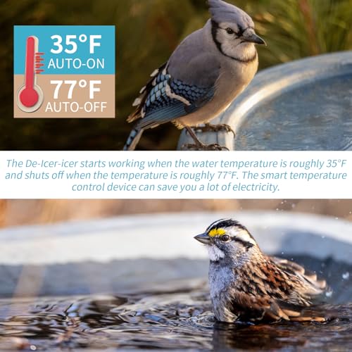2Pack 250 Watt Pond De-Icer with Thermostat, Cast Aluminum Submersible Bird Bath Heater, Heated Chicken Water, Power Cord 9.8 Ft - size: 250W