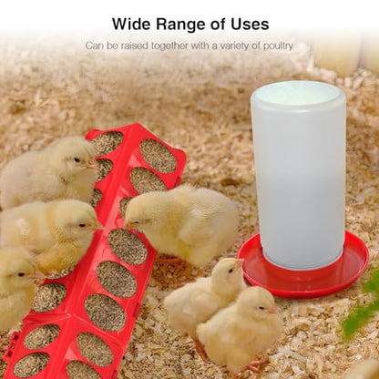 Chick Feeder and Waterer Kit, Chick Feeder Trough and 0.3 Gallon Chick Waterer, No Waste Baby Chick Starter Kit for Chicks, Ducks, and Quail - color: Set