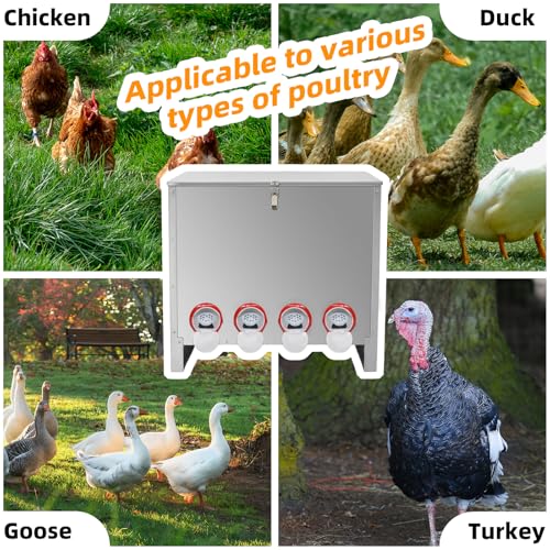 Automatic Poultry Chicken Feeder No Waste Metal Large Capacity 88 lbs Feeders for Chickens Ducks, Geese Bantams Pheasants Coop Weatherproof (10-Port) - size: 10-Port