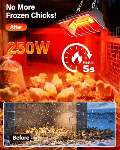 Chicken Coop Heater 2-Pack, 175W & 250W Dual-Mode Heat Lamp for Chickens with 3M Cord, Adjustable Hanging Height Brooder Heater for Ducks, Calves, Poultry and Livestock Pets Warmer in Winter