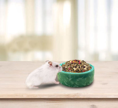 kathson 2 Pcs Hamster Food Bowl Guinea Pig Ceramic Water Bowl Small Animal Feeding Dish for Dwarf Hamster Gerbil Syrian Ferret Hedgehog Chinchilla Bunny (Green)… - color: Green