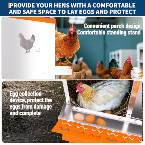 8 Compartment Chicken Nesting Box, Galvanized Steel Metal Laying Box with Removable Tray Roll-Out Egg Collection, Wall Mount Hen Roosting Box, Easy Egg Collection - color: Orange, size: 8 holes