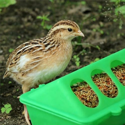 2 Pack Chick Feeder Waterer 16 Holes Chicken Feeder No Waste Poultry Feeder