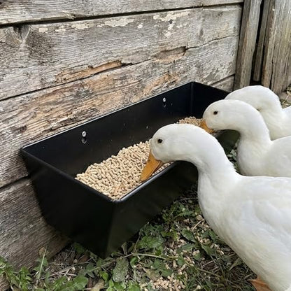 3 Pack 6 Qt Metal Feed Trough for Goats & Ducks, Heavy Duty Iron Hanging Livestock Feeder with Drain Holes & Plugs, Fence/Wall Mount Manger for Sheep, Piglets, Deer & Poultry