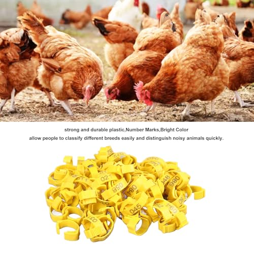 SUNGOOYUE 100 Pcs Chicken Leg Rings Plastic Numbered Poultry Identification Bands Clip On Round Ankle for Chickens Ducks Hens Breeders Farm Flock Tracking (100Pcs Yellow Rings with Number Markers) - color: 100pcs Yellow Rings With Number Markers
