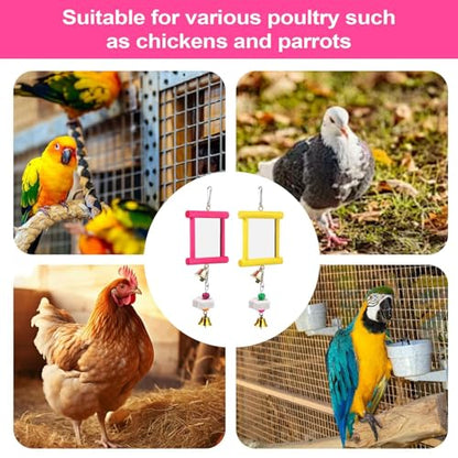 Chicken Mirror Swing - Chicken Toy Mirror |Chicken Mirror Beak Grinding Enrichment, Chicken Coop Mirror Swing, Coop Enrichment Mirror Pecking Toy, Safe Roosters Poultry Entertainment Accessories for Y