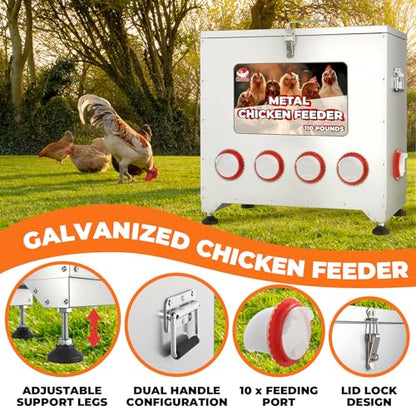 Large Chicken Feeder No Waste, 110lbs Capacity 10 Port,Metal Chicken Feeder with Adjustable Height - Rainproof Locking Lid Galvanized Poultry Feeder for Chickens,Ducks,Turkeys