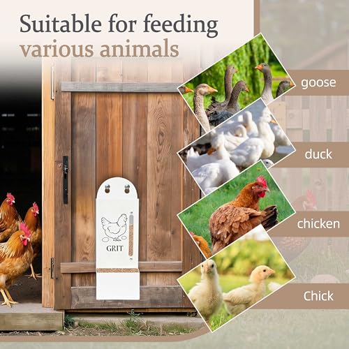 Chicken Grit and Oyster Shell Feeder, Poultry Feeder with Visual Window, No-Mess Weatherproof, Metal Hanging Gravity Chicken Feeder, Chicken Coop Accessories (Oyster-White) - color: White