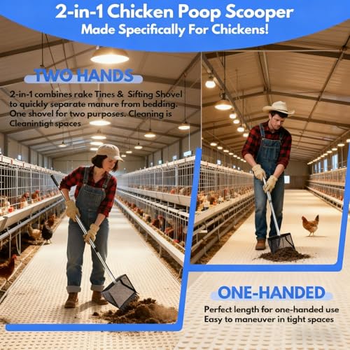 Chicken Coop Rake, Stainless Steel Chicken Manure Rake and Scoop 10in Adjustable Handle Cleaning Tool, for Coop Shed Poultry Cattle Waste Removal with Detachable Head