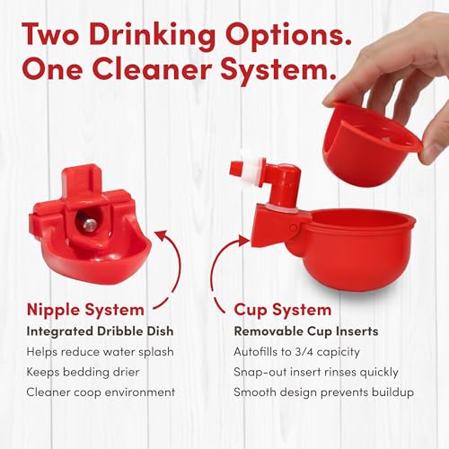 RentACoop 2 Gallon Chicken Waterer with 4 Auto-Fill Water Cups, 4 Horizontal Nipples, and Custom Adjustable Stand; BPA-Free; Large Capacity Poultry Waterer- Center Placement