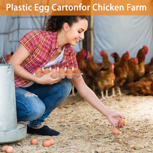 120 Pack Egg Cartons Cheap Bulk 12 Count Egg Containers for Chicken Eggs, One Dozen Empty Egg Cartons for Home Ranch Chicken Farm, Commercial Business Market Display, 2x6 Grids - size: Medium, style: 2x6Grids-120count