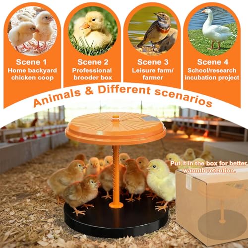 Chick Brooder Heating Plate 35W, ABS Poultry Warmer, 25x24x20 cm Height Adjustable for Winter, Ducks, Quail, Hedgehogs, Reptiles, Farm, Lab, Home