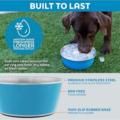 Master Pet Supply Stainless Steel Dog Bowls Set of 2 (32 Oz Each) with Non-Slip Rubber Base - Pistachio - Basic Dog Food Bowl Water & Food Bowls for Small Medium Large Dogs & Cats, Metal Dish - color: Pistachio, size: 4 Cups (32 oz) 2 Pack