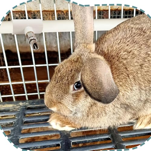 6pcs Stainless Steel Rabbit Water Nipples Automatic PVC Tees Rodent Waterering System - color: whte, size: Large