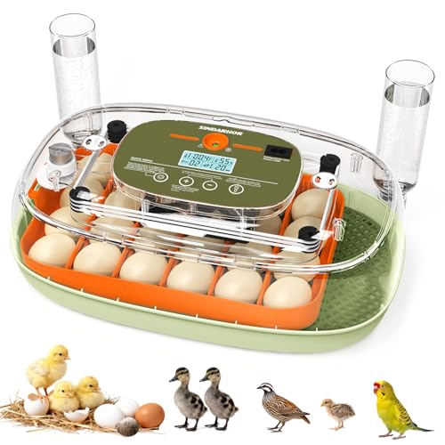 Egg Incubator for 24 Chicken Eggs with Automatic Turner, Digital Temperature Control & Humidity Display, Candler, Poultry Hatcher for Chicken, Duck, Quail, Birds (Green) - color: Green