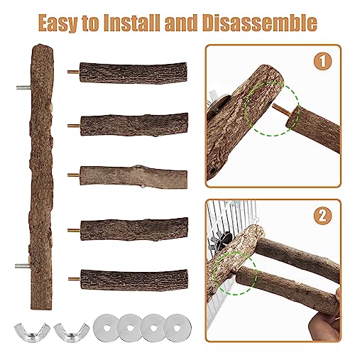 Parrot Wood Stand, Parrots Perch for Cage, Natural Bird Ladder for Small Medium Parrot, Parakeets, Cockatiels, Conures, Hamster(12.2 inch)