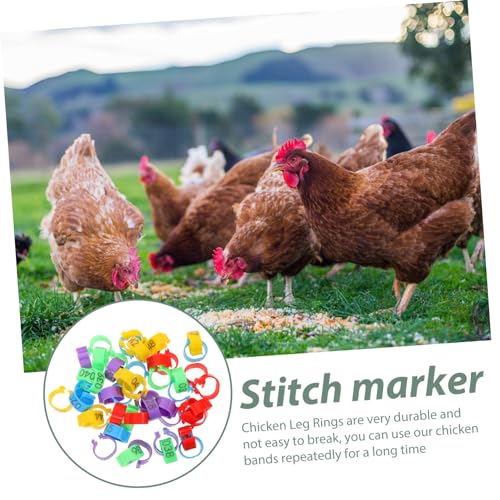 50Pcs Poultry Feet Rings Chicken Identification Leg Bands Lightweight Clip Chick Leg Rings for Poultry Marking for Easy Identification