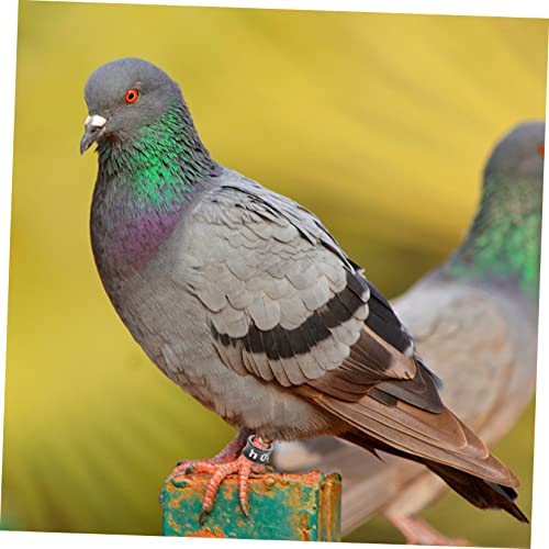 BESPORTBLE 50Pcs Closed Bird Leg Rings Numbered Parrot Pigeon Foot Bands Sturdy Alloy Identification Rings for Small Birds for Breeding and Identification