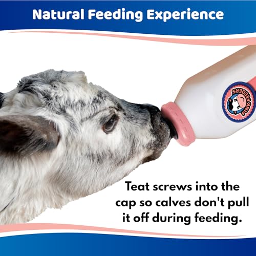 2 Quart Square Calf Bottle with Handle and Thriver Screw-in Calf Teat – Leak-Resistant Nursing Bottle with Dual Vent Flow & Vanilla Scented Nipple - Feed Calves Naturally