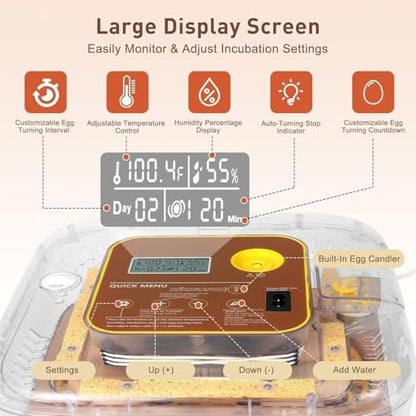 Gen IV - 12 Egg Fully Automatic Incubator, 2026 Upgraded Design, Intelligent Sensor-Based Humidity & Temp Control, Custom Hatch Days, Adjustable Auto Turning with Auto-Stop, 360° View, Alarm, Candler - size: 12 egg-brown
