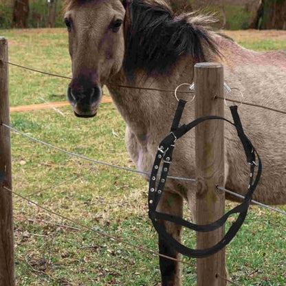 Bridle Rope Horse Cattle Halter Halters for Horses Nylon Training Reins