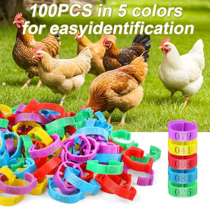 100 Pcs Adjustable Chicken Leg Rings, Multicolor Numbered Chicken Identification Leg Bands, Durable Poultry Leg Bands for Chickens Turkey Goose Ducks