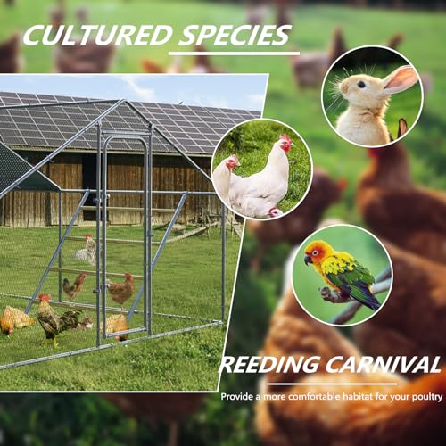 Chicken Coop Roosting Perch,Perfect for Backyard Poultry,Chicken Perch Essentials,Easy to Assemble&Clean,Farm Chicken Toys (56'' H x 41'' W)-2 pcs - size: 56" L*41" W-2pcs
