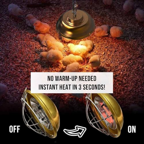 300 Watt Chicken Coop Heater, Professional Heat Lamp for Chickens, Chicks, Rabbit or Ducklings, Full Aluminum Alloy & Waterproof Heat Lamp for Chicken Coops
