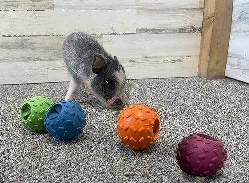 Challenging Treat-Dispensing Ball for Pigs Piglets Dogs Rabbits Cats and Other Small Animals – Mental Stimulation and Playtime Fun (Maroon) - color: Maroon
