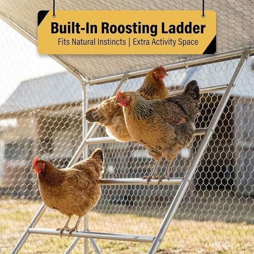 13' x 10' Walk-in Metal Chicken Coop for 20-25 Chickens, Heavy Duty Poultry Cage with Elevated Roosting Perch & Waterproof Cover, Thickened Steel Frame Outdoor Backyard Run Pen (130 Sq.Ft) - size: 158.0"L x 117.6"W x 80.6"H